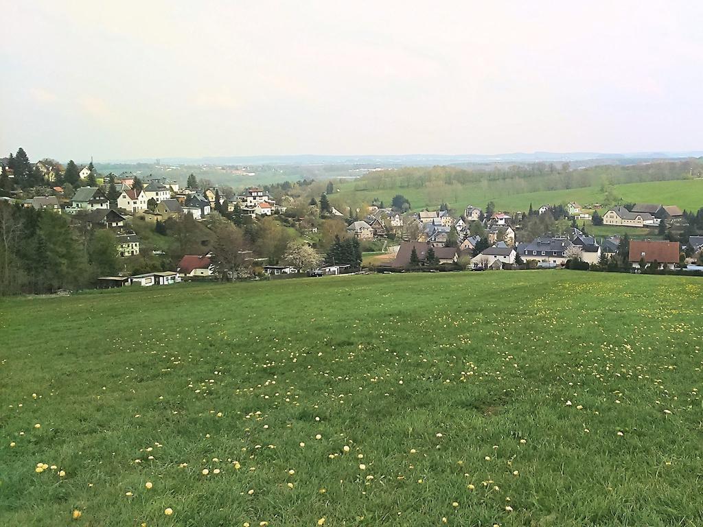 Apartment With Views Of The Ore Mountains Oelsnitz  Dış mekan fotoğraf